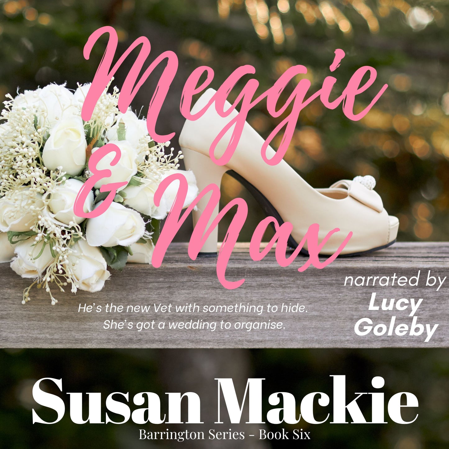 AUDIOBOOK Meggie & Max (#6) - narrated by Lucy Goleby - 4 hrs.