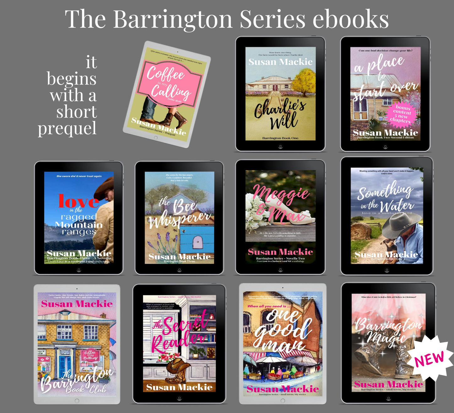 Barrington Series Bundle (ebook complete series 11 books)