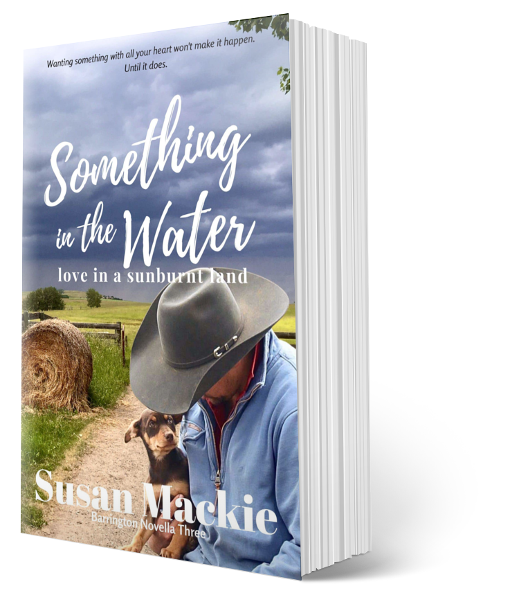 Paperback image of Something in the Water - small town romance - with rural background and farmer with young dog. Cover photo by Angie White.
