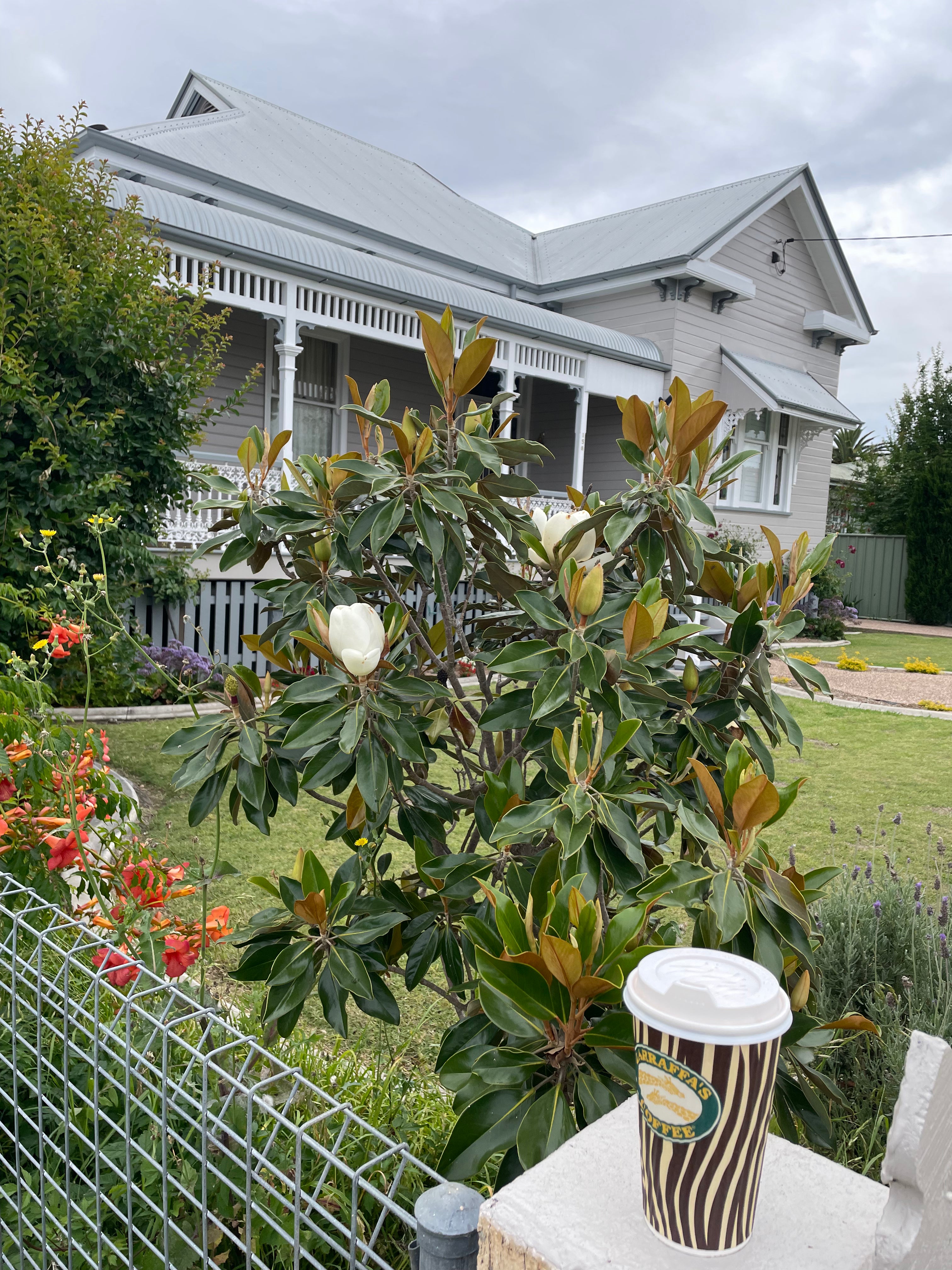 Living, loving and writing in Warwick, Queensland, Australia.