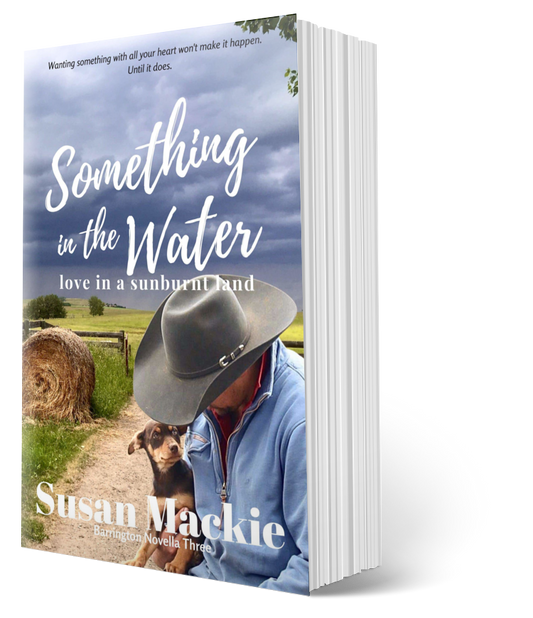 Paperback image of Something in the Water - small town romance - with rural background and farmer with young dog. Cover photo by Angie White.