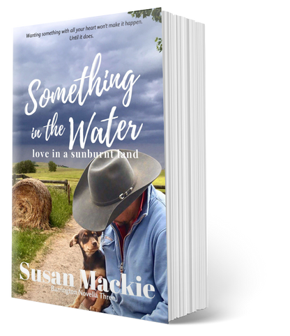 Paperback image of Something in the Water - small town romance - with rural background and farmer with young dog. Cover photo by Angie White.