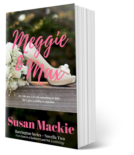Paperback cover of Meggie & Max with wedding shoe in foreground and pink title.