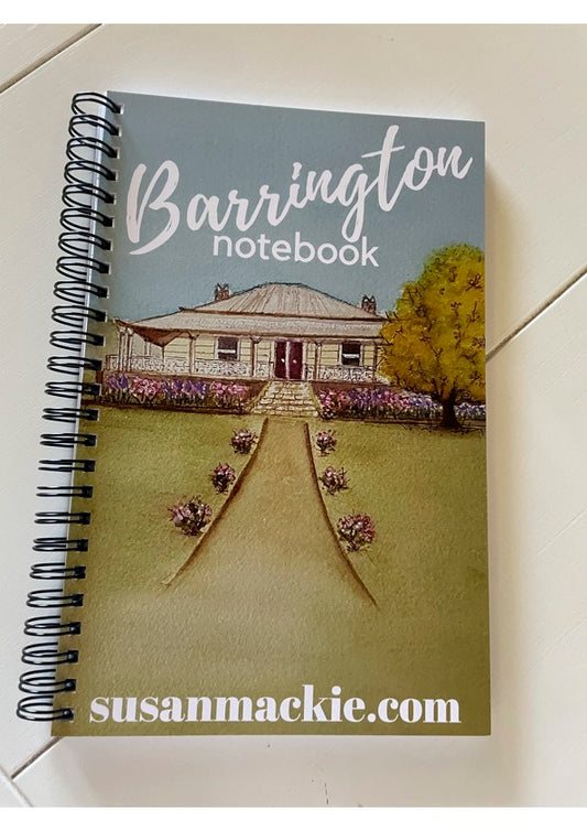 Barrington notebook - Charlie's Will themed.