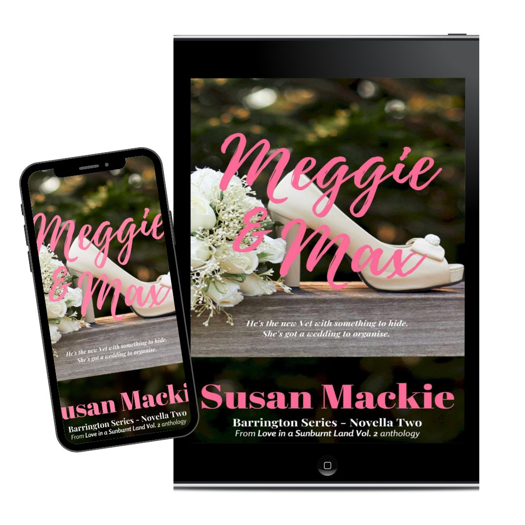 ebook and iphone image of Meggie & Max - dark background with white wedding shoe and pink title.