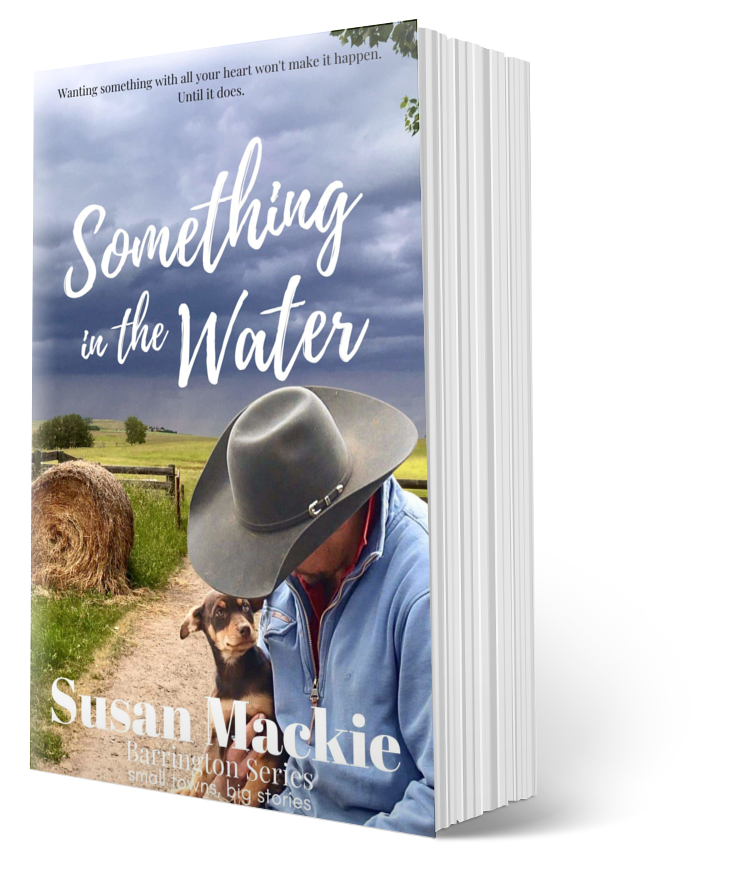 Complete Barrington Series (paperback #1-11)